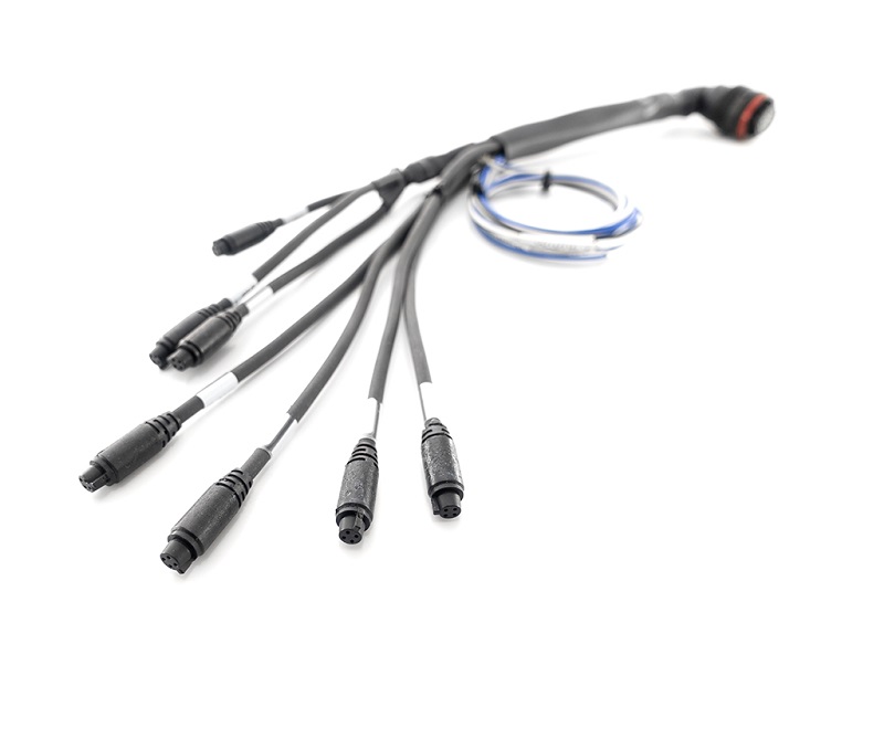 22 pins kabelboom voor AIM MXL2/MXS/MXP/MXG 1.3 dashlogger - Afbeelding 3